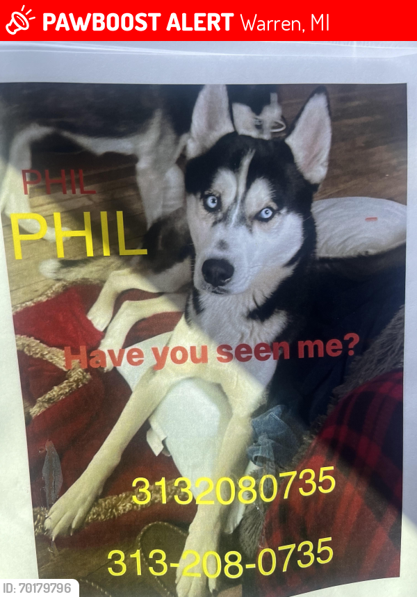 Lost Male Dog last seen 9 mile and mound , Warren, MI 48093