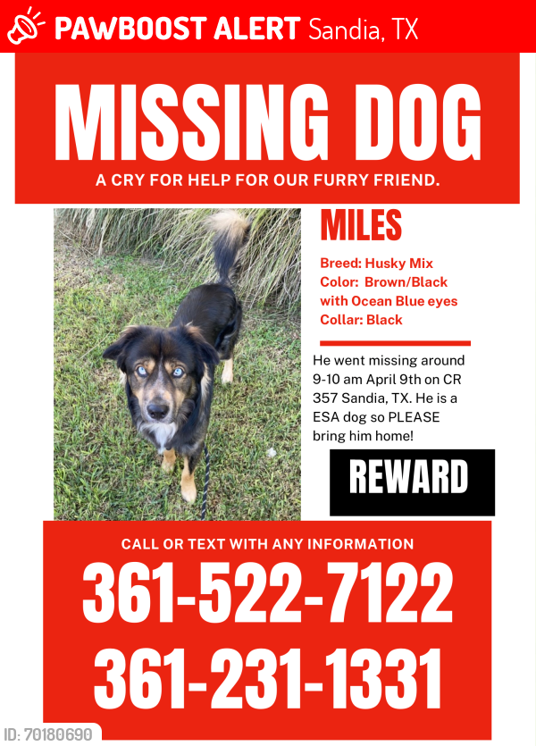 Deceased Male Dog last seen Orange Grove, Sandia , Sandia, TX 78383