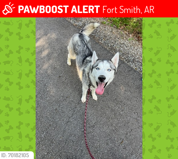 Lost Female Dog last seen Albert Pike Kelly Highway, Fort Smith, AR 72904