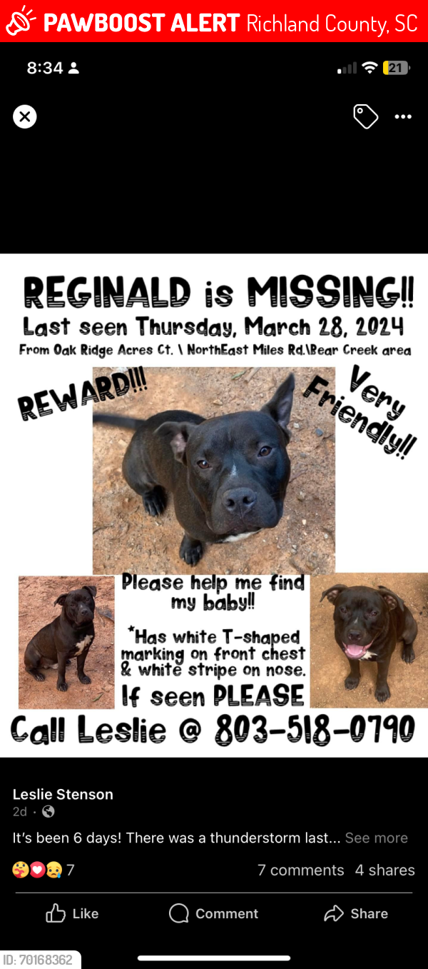 Lost Male Dog last seen NORTHEAST MILES RD, Richland County, SC 29016
