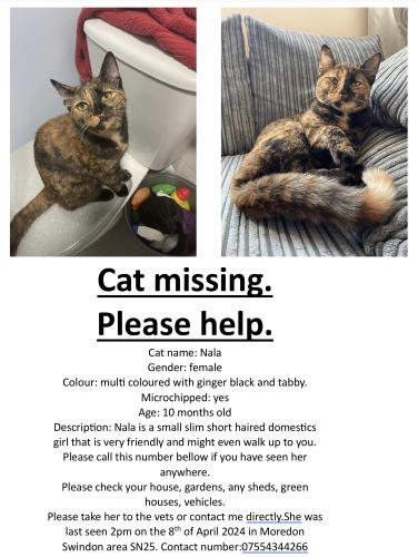 Lost Female Cat last seen Swindon, Moredon , Swindon, England SN25 3DY