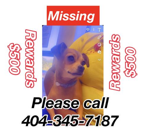 Lost Female Dog last seen Klondike rd & Brownsmill Rd. Stonecrest GA, Stonecrest, GA 30038