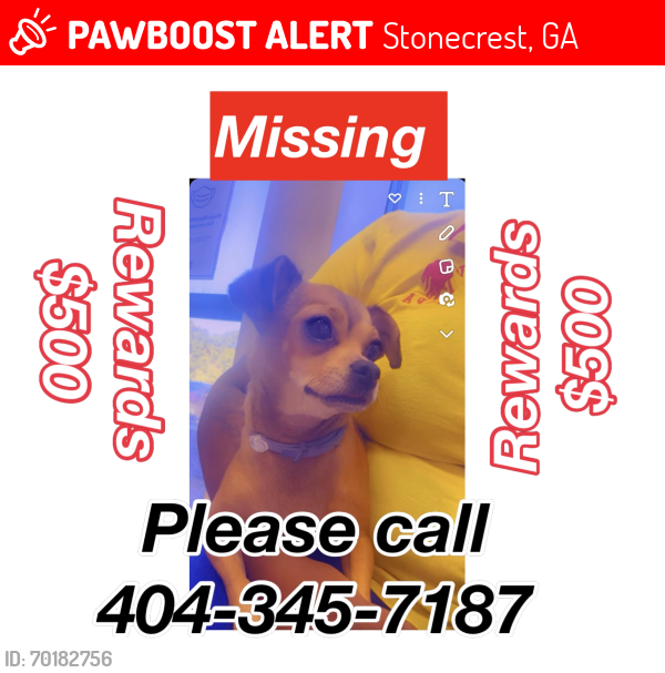 Lost Female Dog last seen Klondike rd & Brownsmill Rd. Stonecrest GA, Stonecrest, GA 30038
