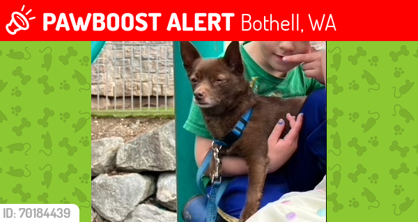 Lost Female Dog last seen Near Bot Everett Highway, Bothell, WA 98012