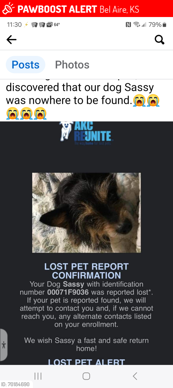 Lost Female Dog last seen N. Edgemoore, Bel Aire, KS 67220