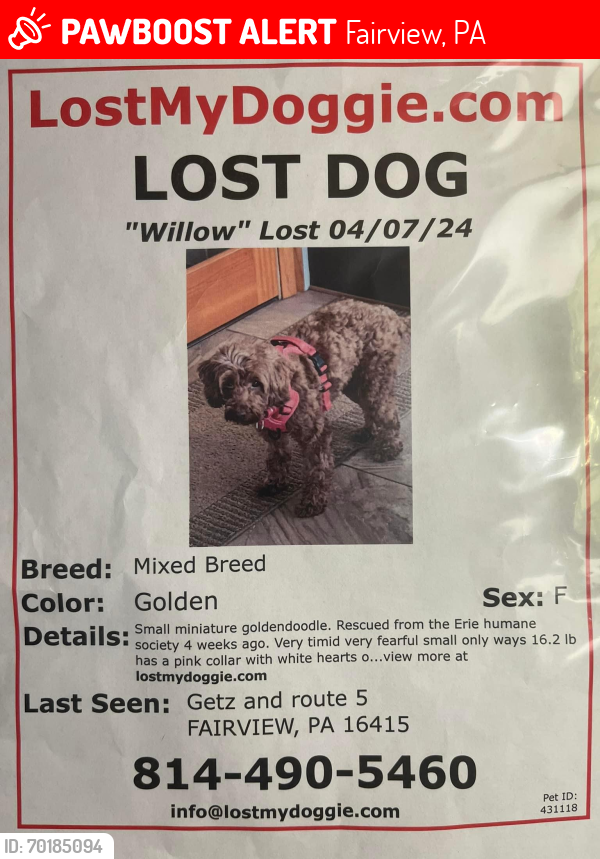 Lost Female Dog last seen Avonia beach (private property), Fairview, PA 16415