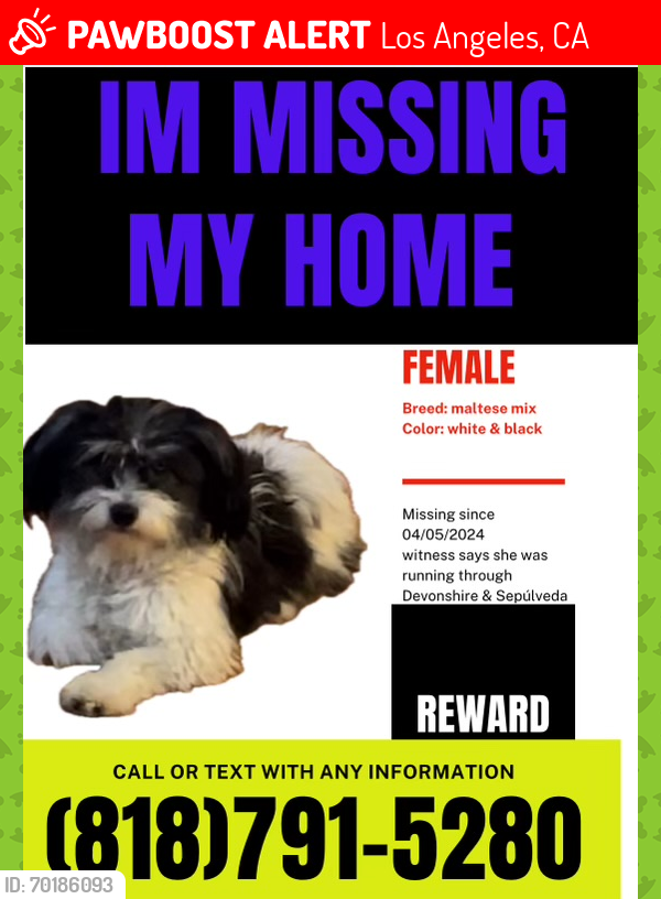 Lost Female Dog last seen Devonshire and Sepulveda , Los Angeles, CA 91345