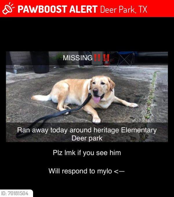 Lost Male Dog last seen Off of East blvd near Heritage Elementary , Deer Park, TX 77536
