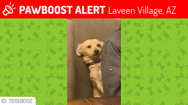 Lost Male Dog last seen Dobbins and 27th Ave, Laveen Village, AZ 85339