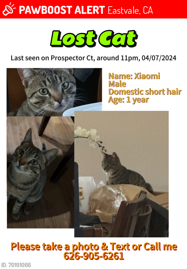 Lost Male Cat last seen Prospector Ct, Eastvale, CA 92880