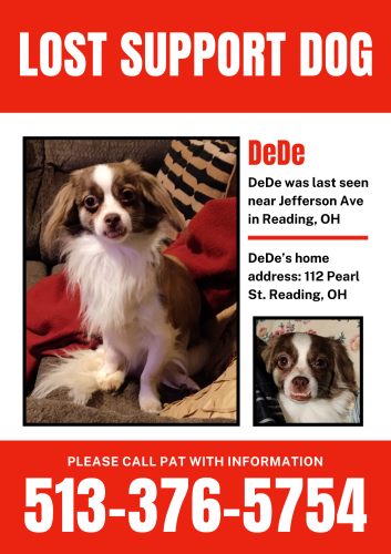Lost Male Dog last seen Jefferson Ave by the Military Memorial , Cincinnati, OH 45215