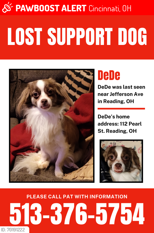 Lost Male Dog last seen Jefferson Ave by the Military Memorial , Cincinnati, OH 45215