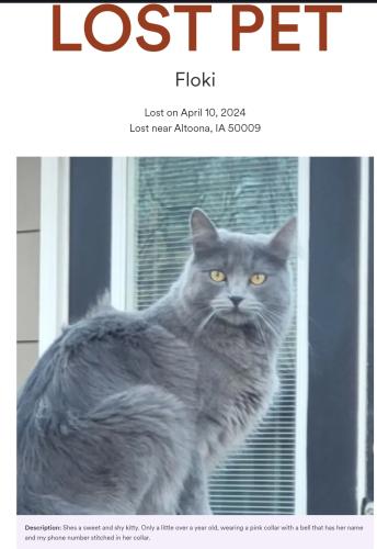 Lost Female Cat last seen Prairie meadows , Altoona, IA 50009