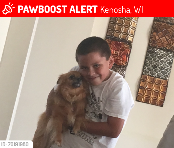 Lost Female Dog last seen 85th avenue and 86th street kenosha, Kenosha, WI 53142