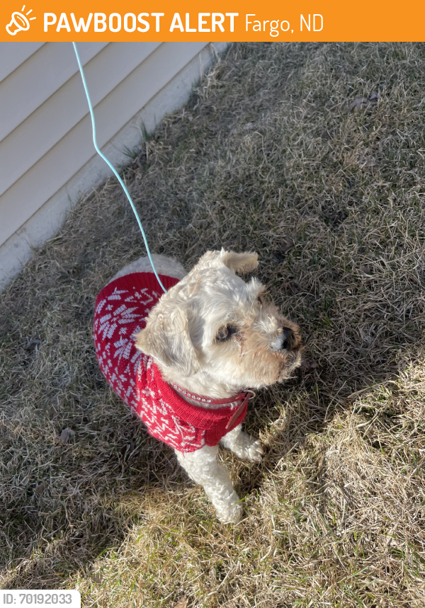 Found/Stray Male Dog last seen By hornbachers, Fargo, ND 58104