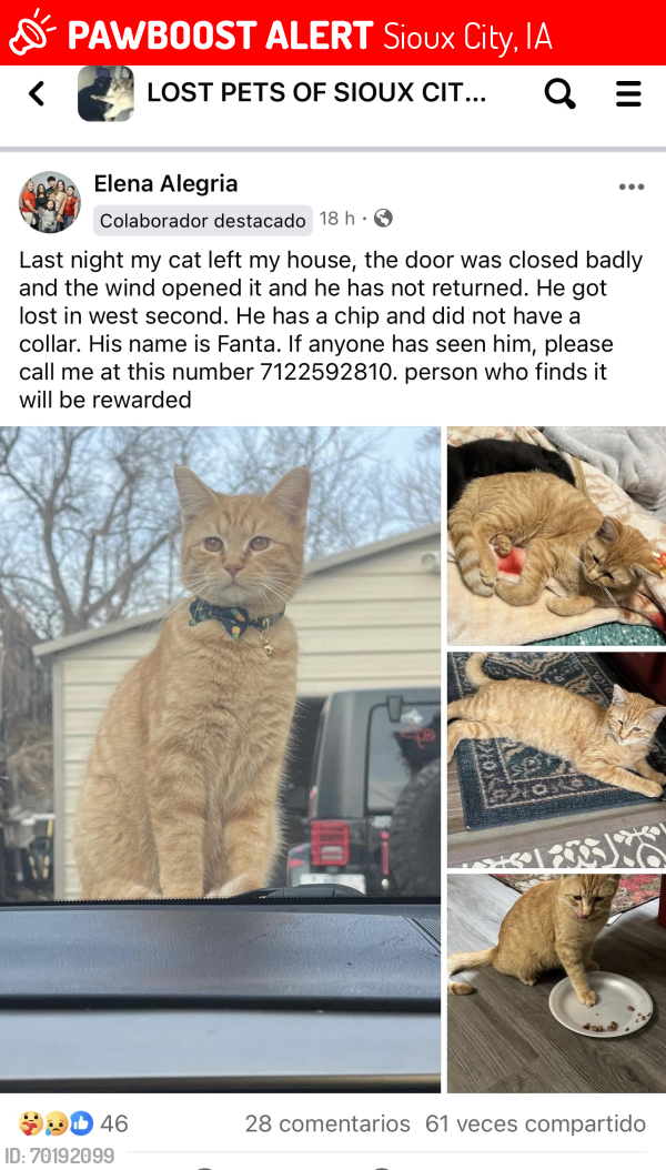 Lost Female Cat last seen West side Sioux City , Sioux City, IA 51103