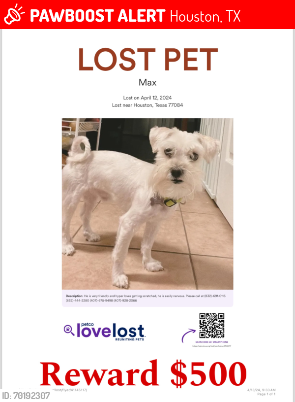 Lost Male Dog last seen The fuse at park Row apmt complex, Houston, TX 77084