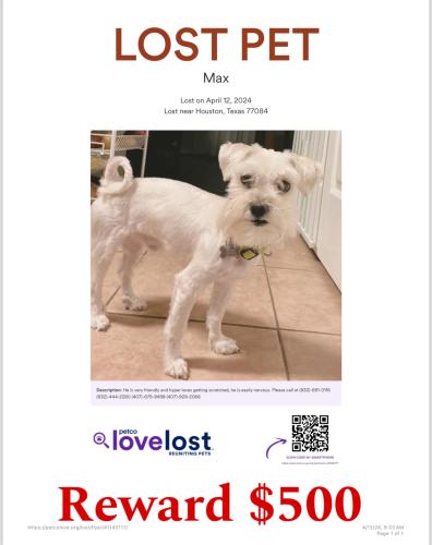 Lost Male Dog last seen The fuse at park Row apmt complex, Houston, TX 77084