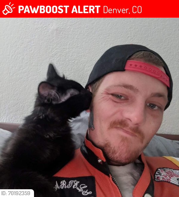 Lost Male Cat last seen Shoshone and Dixie Pl , Denver, CO 80221