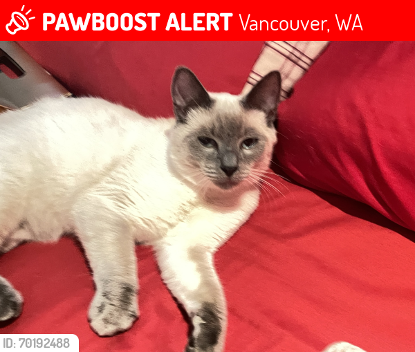 Lost Male Cat last seen Near NE 71st , Vancouver, WA 98662