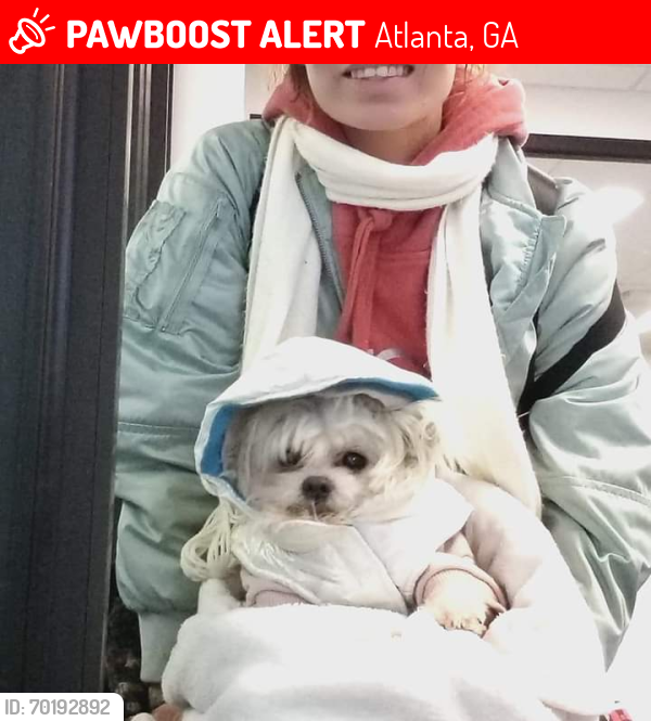 Lost Male Dog last seen Greyhound bus station , Atlanta, GA 30303