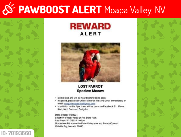 Lost Female Bird last seen Lake Mead, Valley of Fire, Moapa Valley, NV 89040