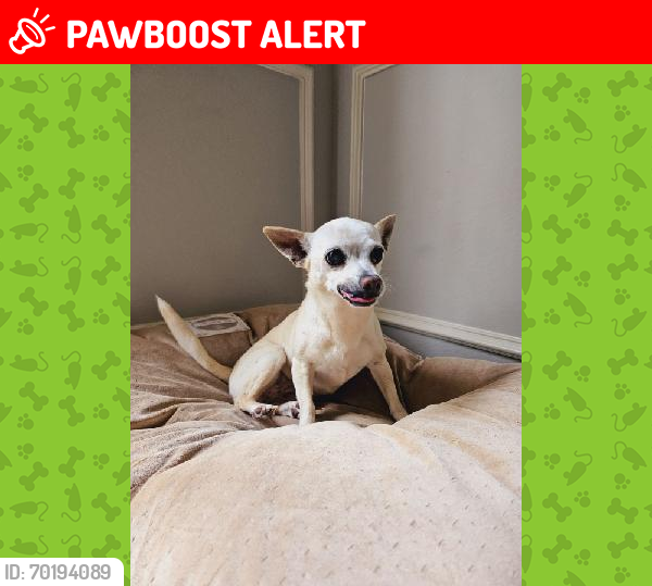 Lost Female Dog last seen Sansbury and Crabb River, Fort Bend County, TX 77469