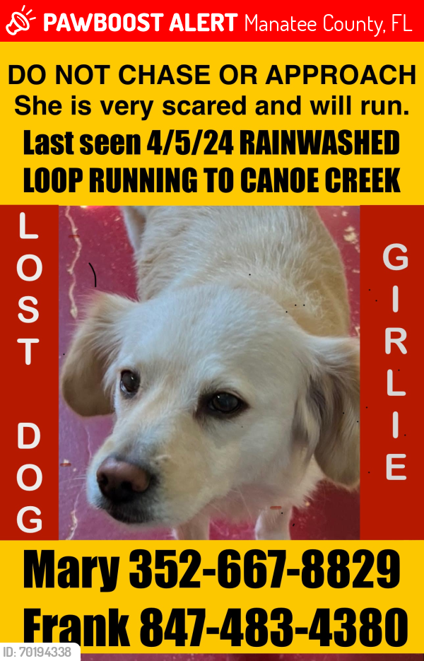 Lost Female Dog last seen Rainwashed loop heading towards canoe creek, Manatee County, FL 34219