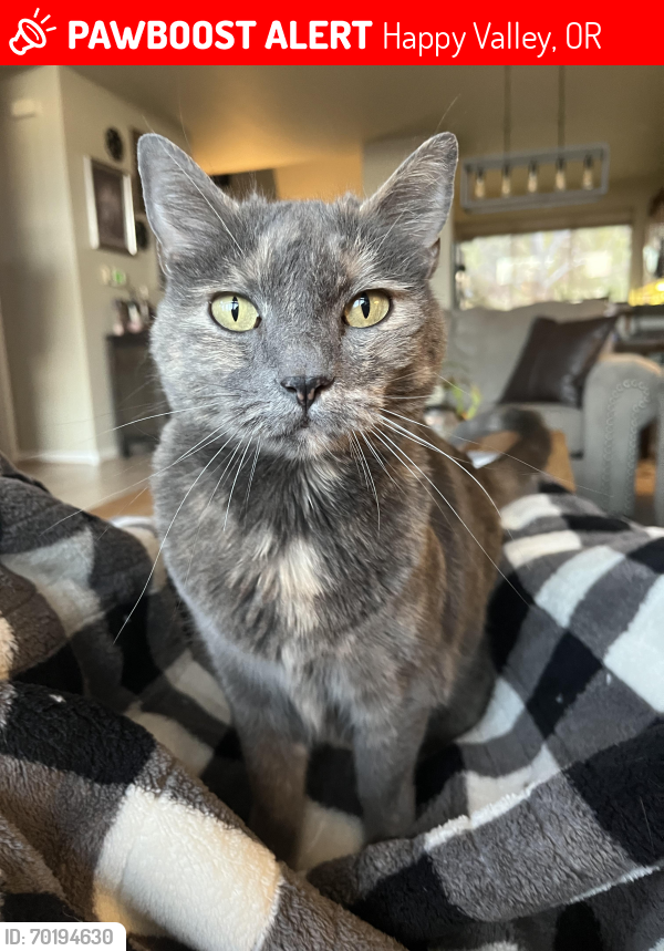 Lost Female Cat last seen Suncrest and 92nd, Happy Valley, OR 97086