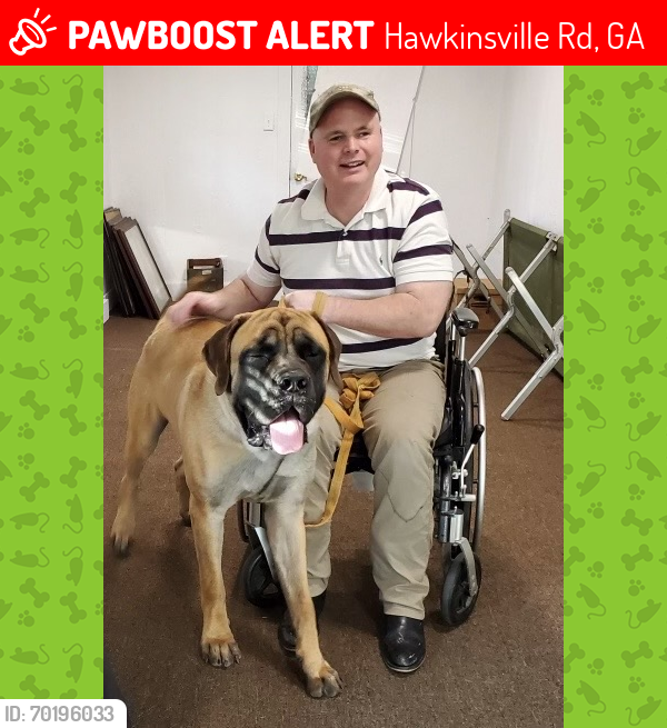 Lost Male Dog last seen Airport, Hawkinsville Rd, GA 31093