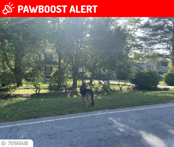 Lost Unknown Dog last seen North Crestview Drive Grayson GA 30017, Gwinnett County, GA 30017