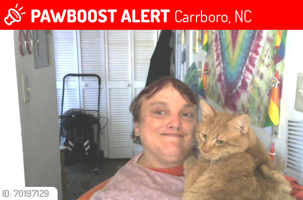 Lost Male Cat last seen Near west main street carrboro nc  , club nova apmts , Carrboro, NC 27510