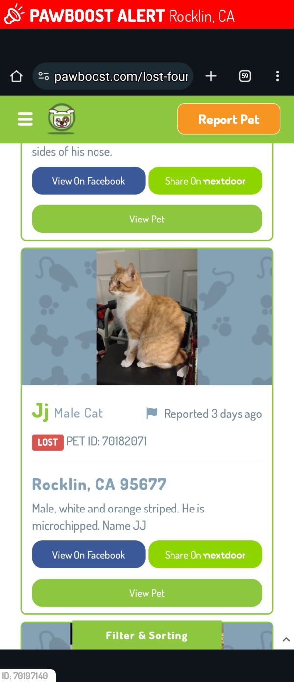 Lost Male Cat last seen Woodside, Rocklin, CA 95677