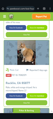 Lost Male Cat last seen Woodside, Rocklin, CA 95677