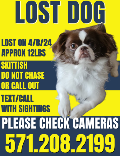 Lost Male Dog last seen Lost from Checkers on Allentown Road, Ran down Allentown and Entered Joint Base Andrews by Suitland Rd & Allentown Rd , Joint Base Andrews, MD 20746