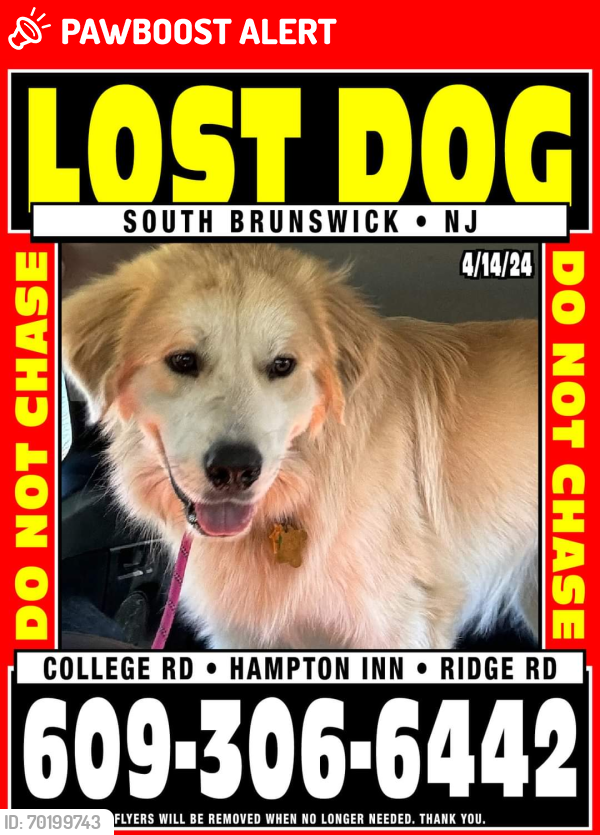 Lost Male Dog last seen Ridge Road, South Brunswick Township, NJ 08852