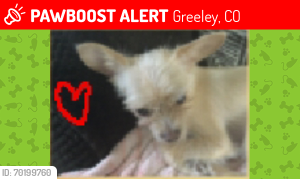 Lost Male Dog last seen Near 7th st Greeley CO, Greeley, CO 80631