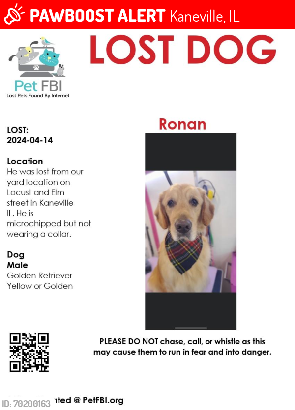 Lost Male Dog last seen Locust St. And Elm St, Kaneville, IL 60119
