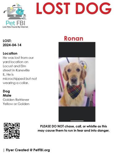 Lost Male Dog last seen Locust St. And Elm St, Kaneville, IL 60119