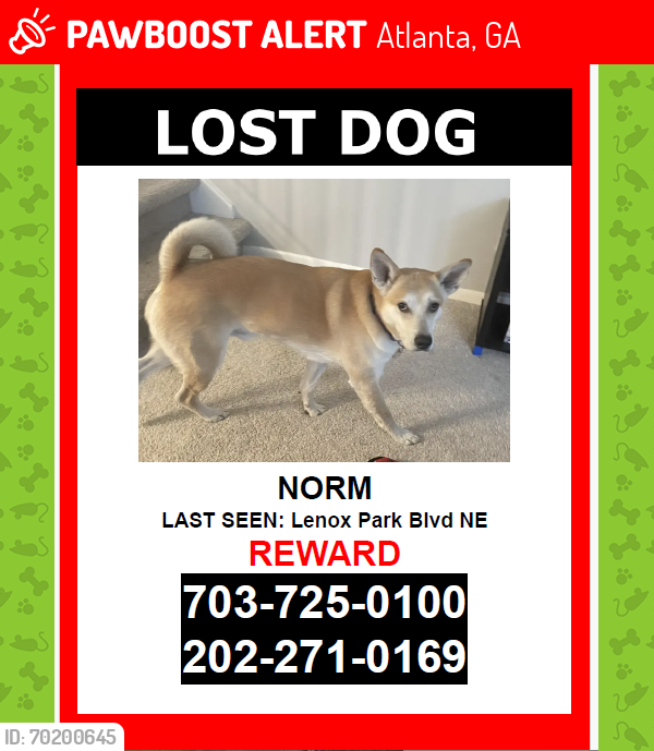 Lost Male Dog last seen North Druid Hills Road, Brookhaven MARTA Station, Atlanta, GA 30319