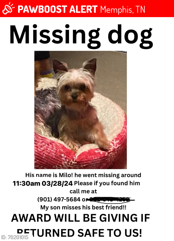 Lost Male Dog last seen Oakhaven mobile , Memphis, TN 38118