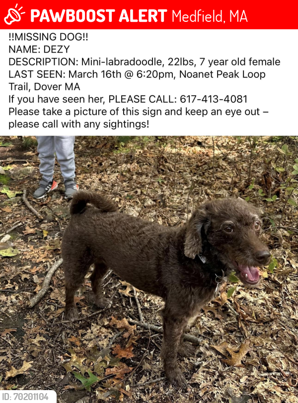 Lost Male Dog last seen Noanet peak loop Dover ma, Medfield, MA 02052