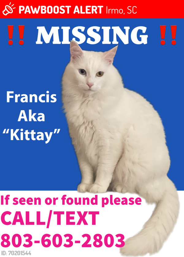 Lost Male Cat last seen Irmo, SC, Irmo, SC 29063