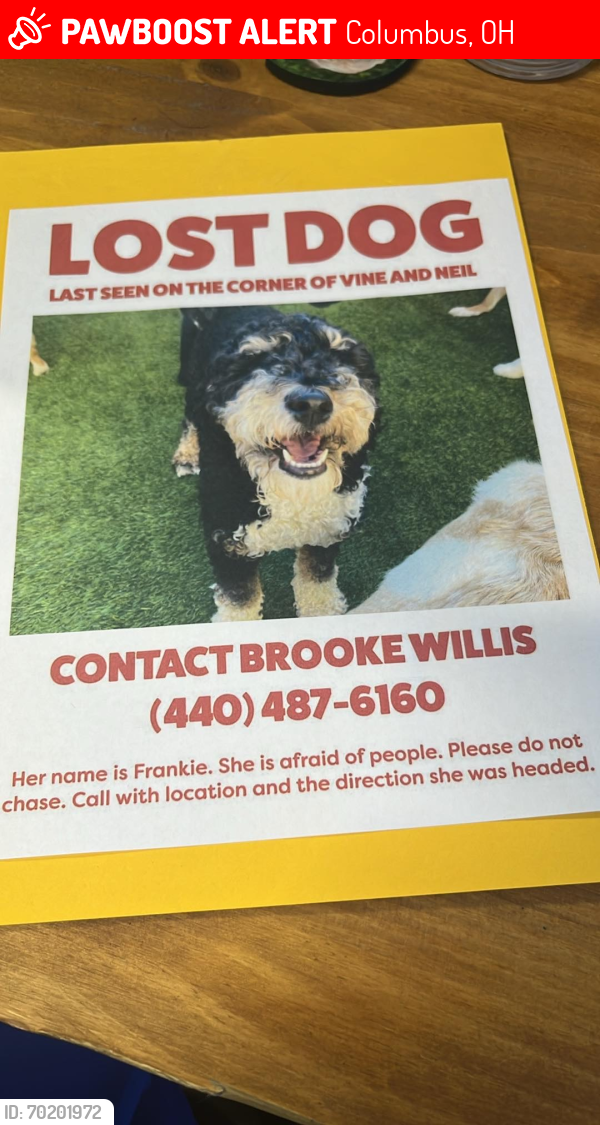 Lost Female Dog last seen Indianola, Columbus, OH 43214