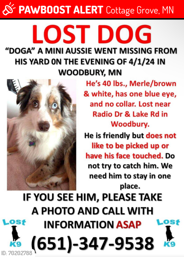 Lost Male Dog last seen Near lori lane Woodbury MN, Cottage Grove, MN 55016
