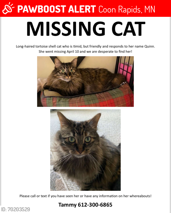 Lost Female Cat last seen Osage St and Hanson Blvd, Coon Rapids, MN 55433