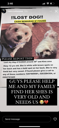 Lost Female Dog last seen 36th and Kino, Tucson, AZ 85713