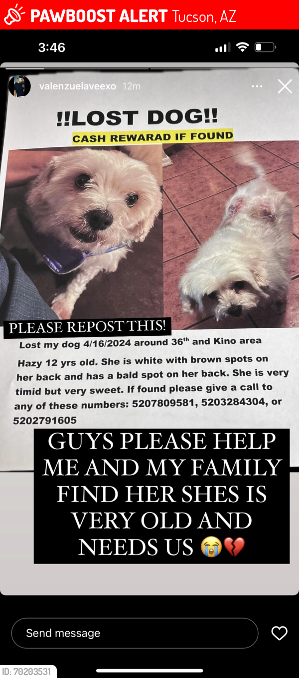 Deceased Female Dog last seen 36th and Kino, Tucson, AZ 85713