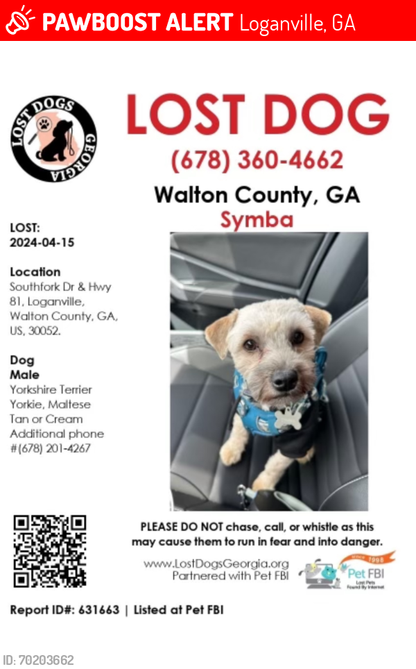 Lost Male Dog last seen Southfork Dr. & U.S. 81, Loganville, GA 30052