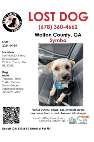 Lost Male Dog last seen Southfork Dr. & U.S. 81, Loganville, GA 30052